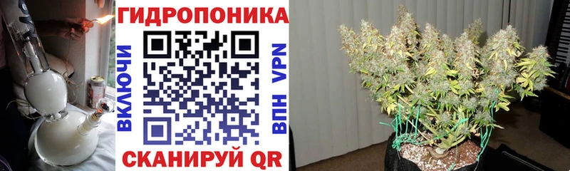 Каннабис гибрид Белгород